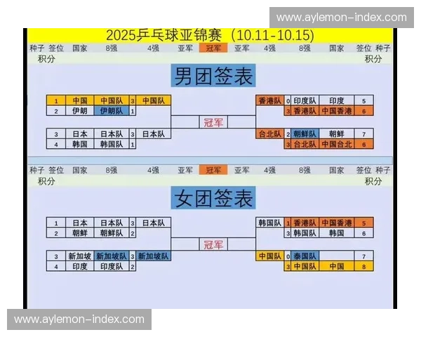2025年全球球赛赛程全解析：涵盖各大赛事、时间地点及重要对决安排