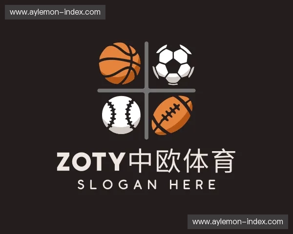 认识zoty中欧体育